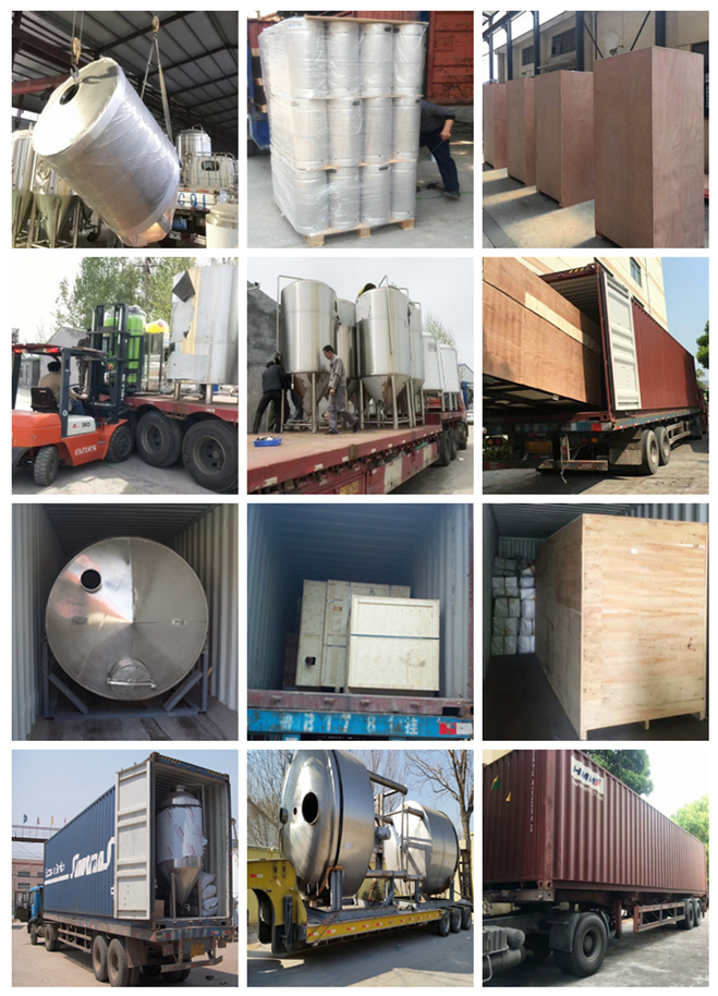 Customized Capacity GHO Fermentation Tank for Beer Processing Fermenting Equipment