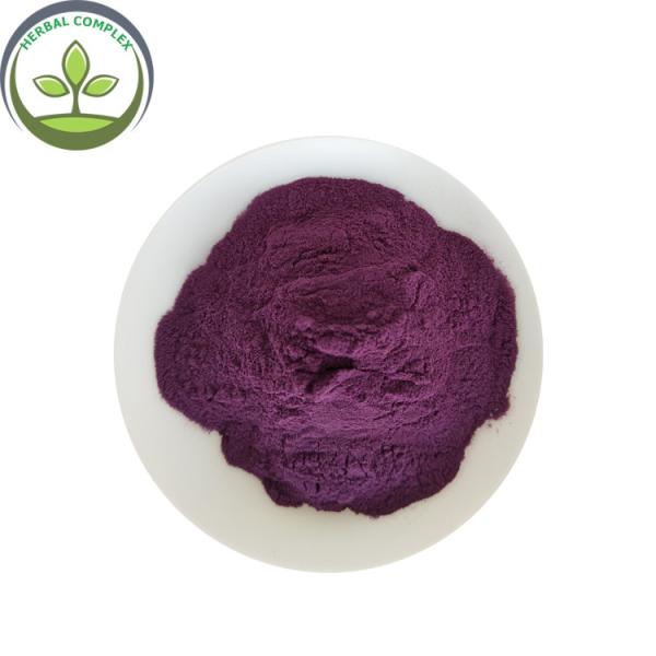 blueberry extract anthocyanins powder buy best bilberry anthocyanins health