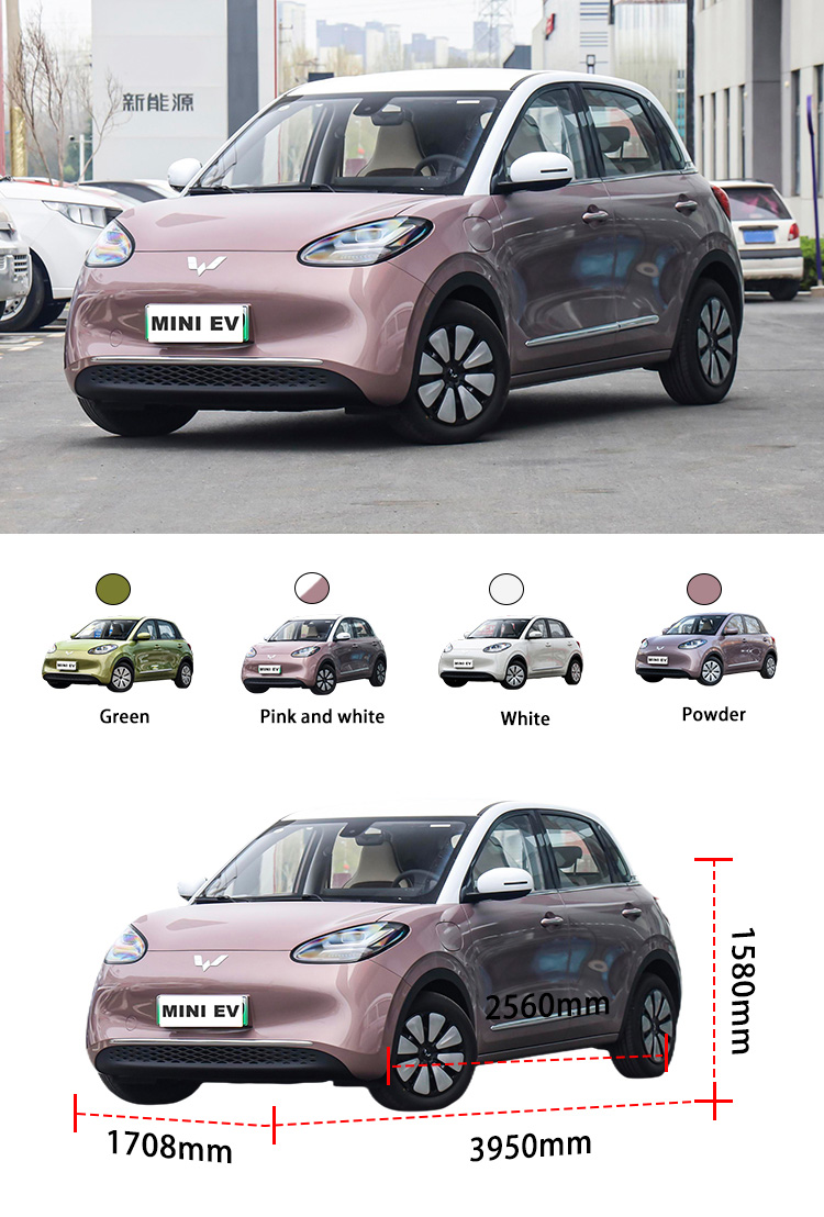 powerful mini eV cars eco friendly adult electric vehicle new energy