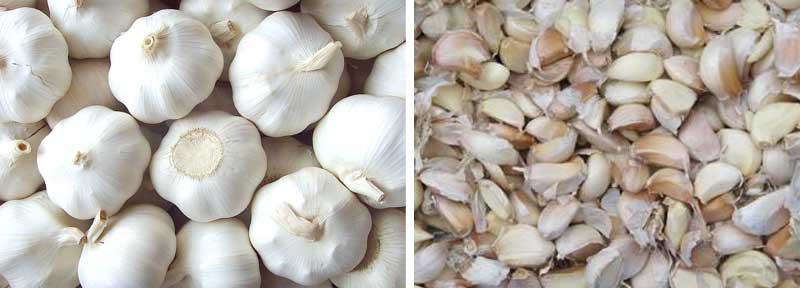 automatic-garlic-clove-separating-machine-for-sale