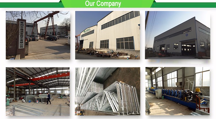 Multi-Span Agricultural Greenhouses with Used Container Hydroponic Growing Systems