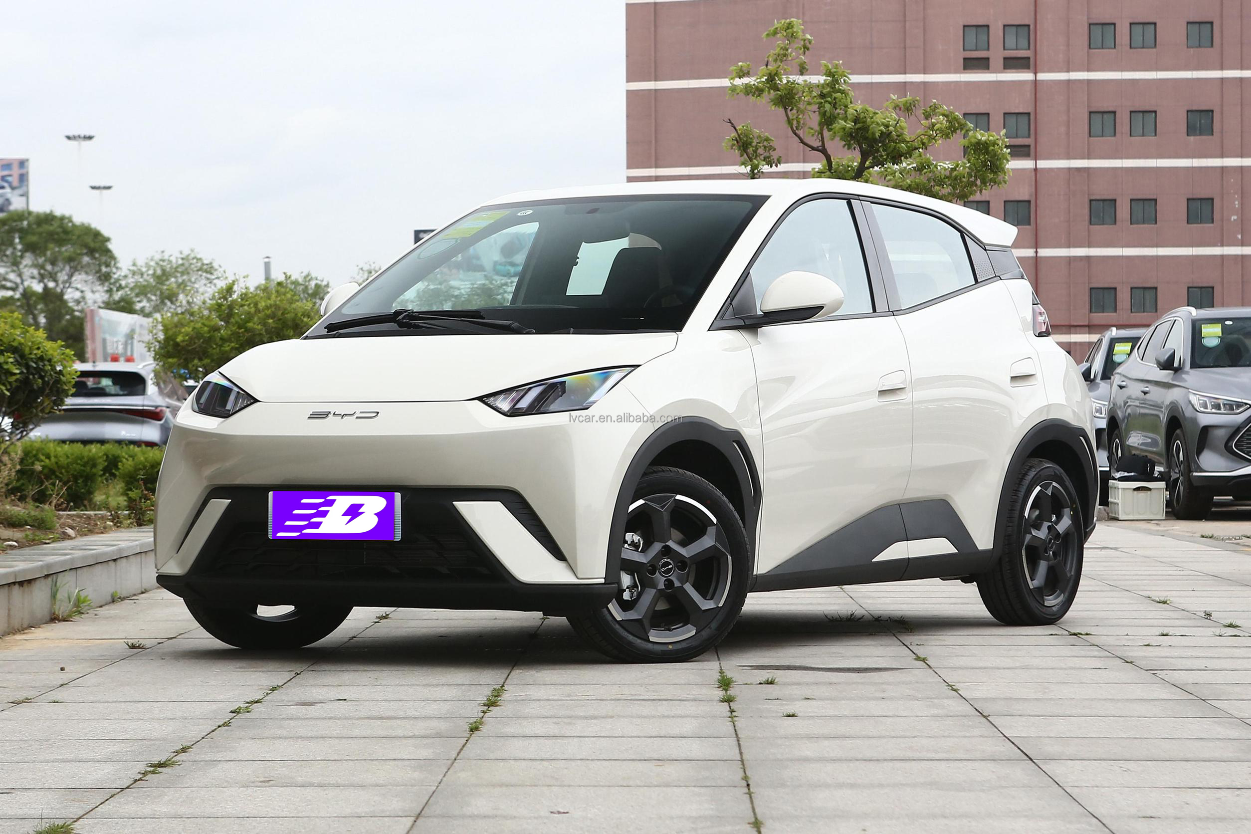 2023 BYD Seagull 5-Door 4-Seater Electric Vehicle Ev Car with 30.08kWh Battery Capacity