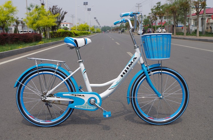 Steel Single Speed Adult 24 Inch City Bike