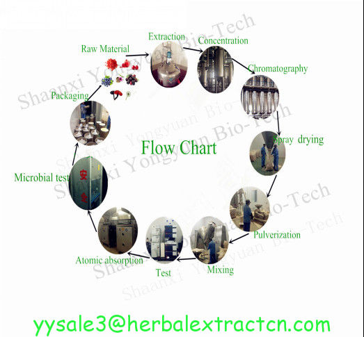 Hawthorn Fruit P.E. Total flavone5%-90%, Cardiovascular Health ,Promoting digest , Chinese manufacturer hot sale