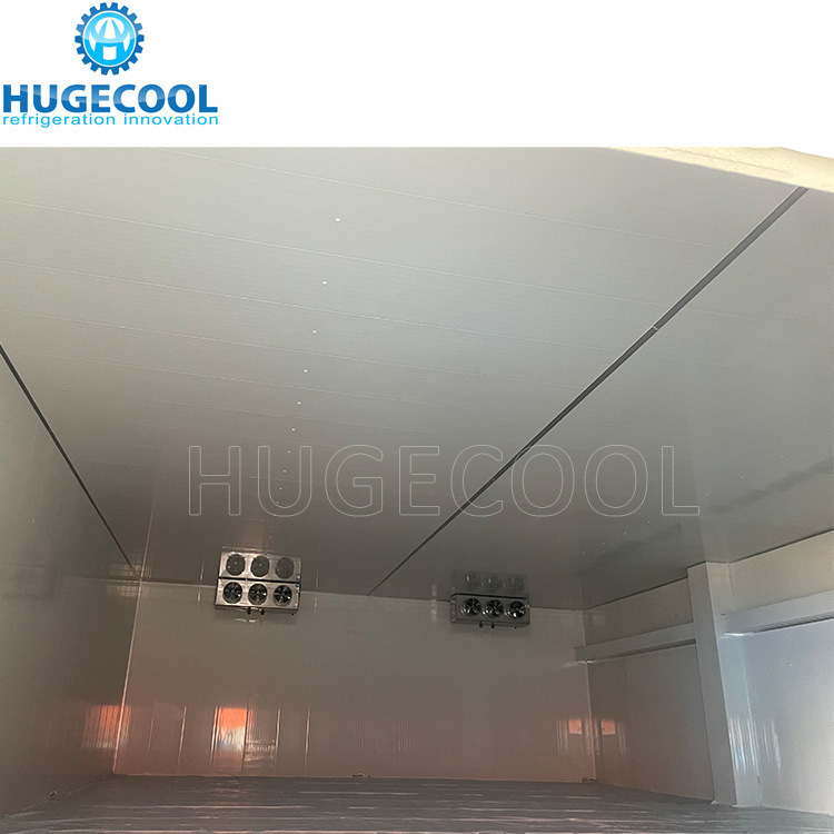 Pre-Made Food Factory Cold Room Cold Chain Freezer