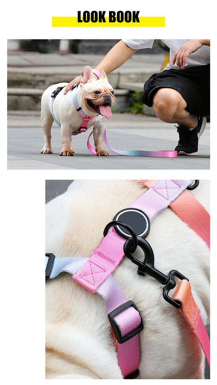 Gradient Waterproof Harness Collar Leash Set Blue Pink Purple Puppy Collar And Lead Set