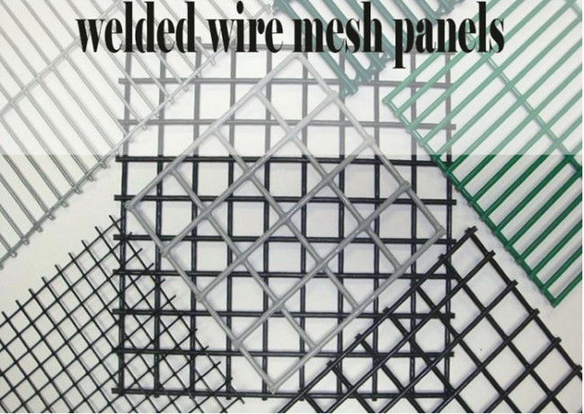 ODM PVC Coated Welded Wire Mesh Panels 3/4''X3/4'' Black Wire Fence Roll