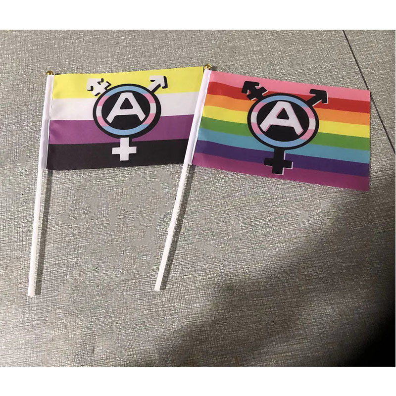 Printed Double Sided Pride Flag Hand Held 100% Polyester Material