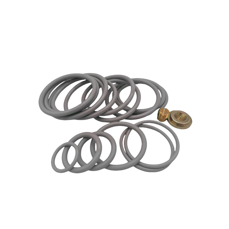 High Pressure AP Compact Setting Tool Redress Kit with Heat and Chemical Resistance