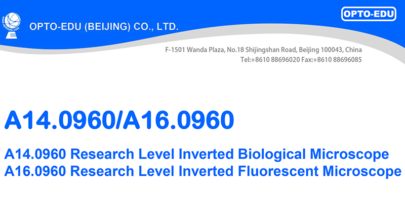 Opto Edu A16.0960 Research Level Inverted Fluorescent Microscope Motorized Nosepiece Condenser