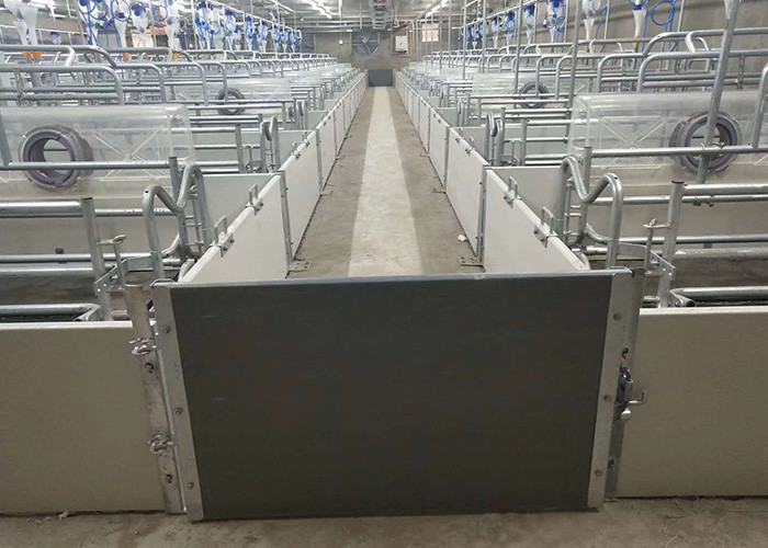 Hot DIP Galvanized Sow Farrowing Crate 1 Inch Tube Swine Farrowing Pen