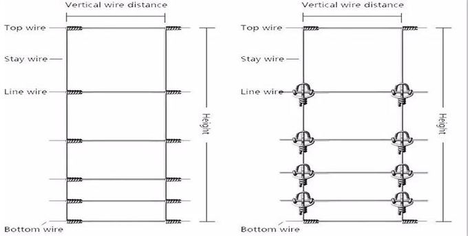 100g/M2 Zinc Coated Hinge Joint Fence , 1m High Galvanized Cattle Fence