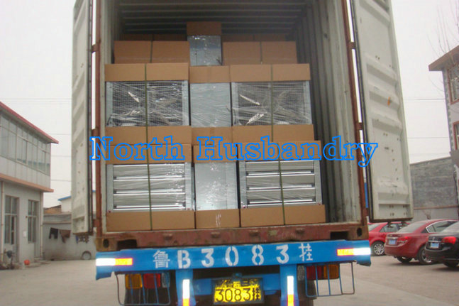 Oman Best Swung drop hammer exhaust fan cheap poultry fan