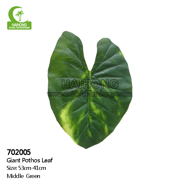 giant photots leaf