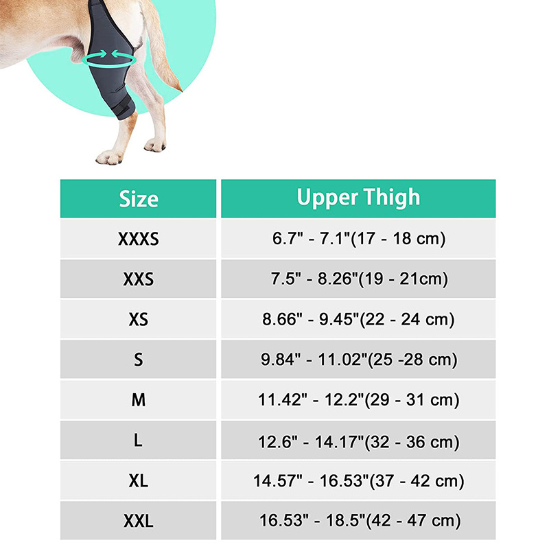 Anti Tear Dog Hock Protector Anti Vibration Dog Leg Brace For ACL Injury