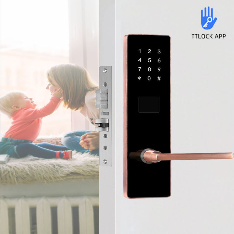 Wireless Smart Keypad Door Lock 300mm Home App Access Control