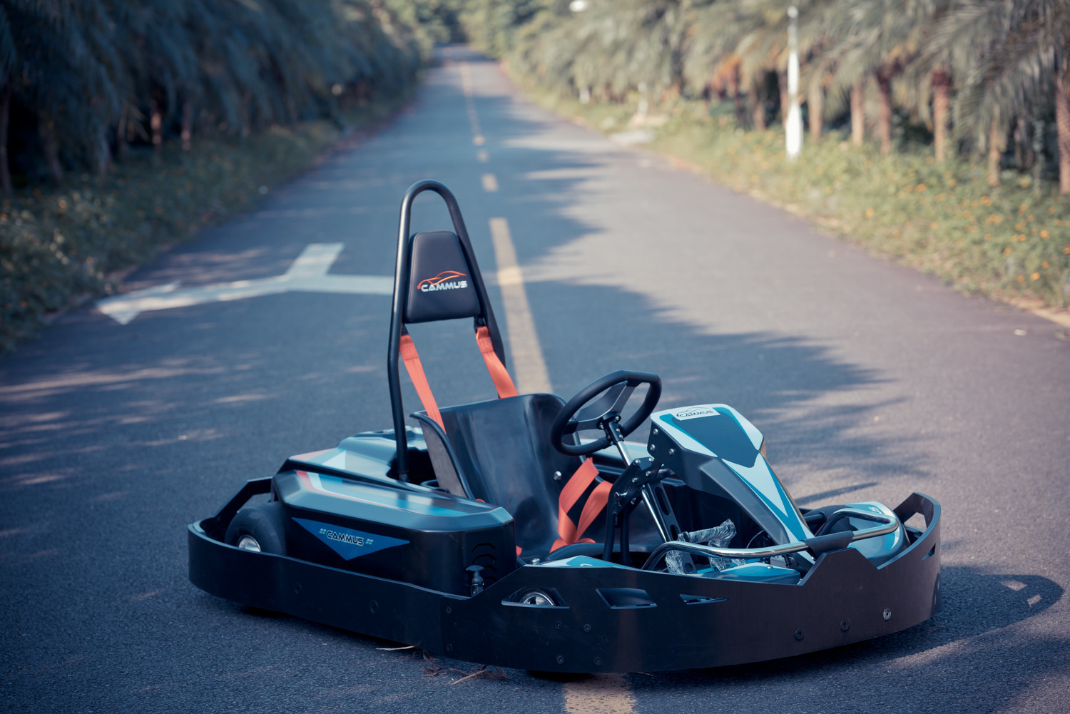 48V 25Ah*2 Battery Powered Go Kart 1.2kw Speed Adjustable