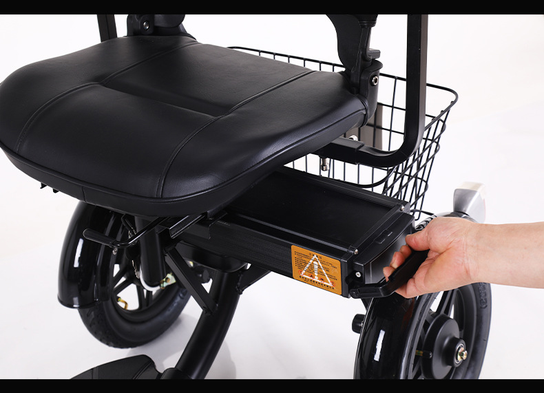 48V 300W Motor Power 12 Inch Electric Tricycle 3 Wheel Electric Bike for Adult Cargo
