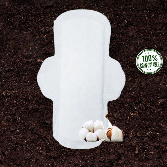 Breathable Top Sheet Disposable Lady Anion Chip Sanitary Pad for Sensitive Skin and Day