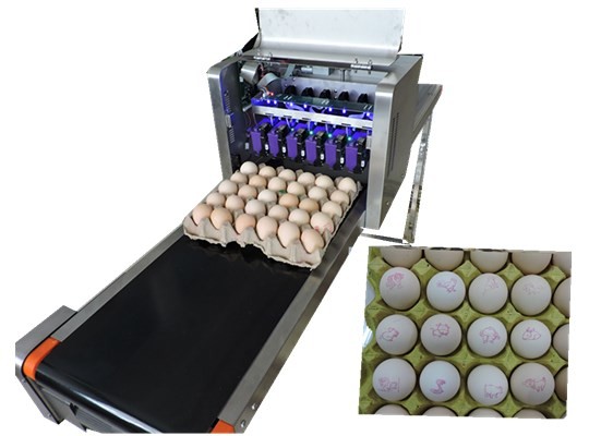 6 Heads Eggs Continuous Ink System Printer With Custom English / Chinese Font
