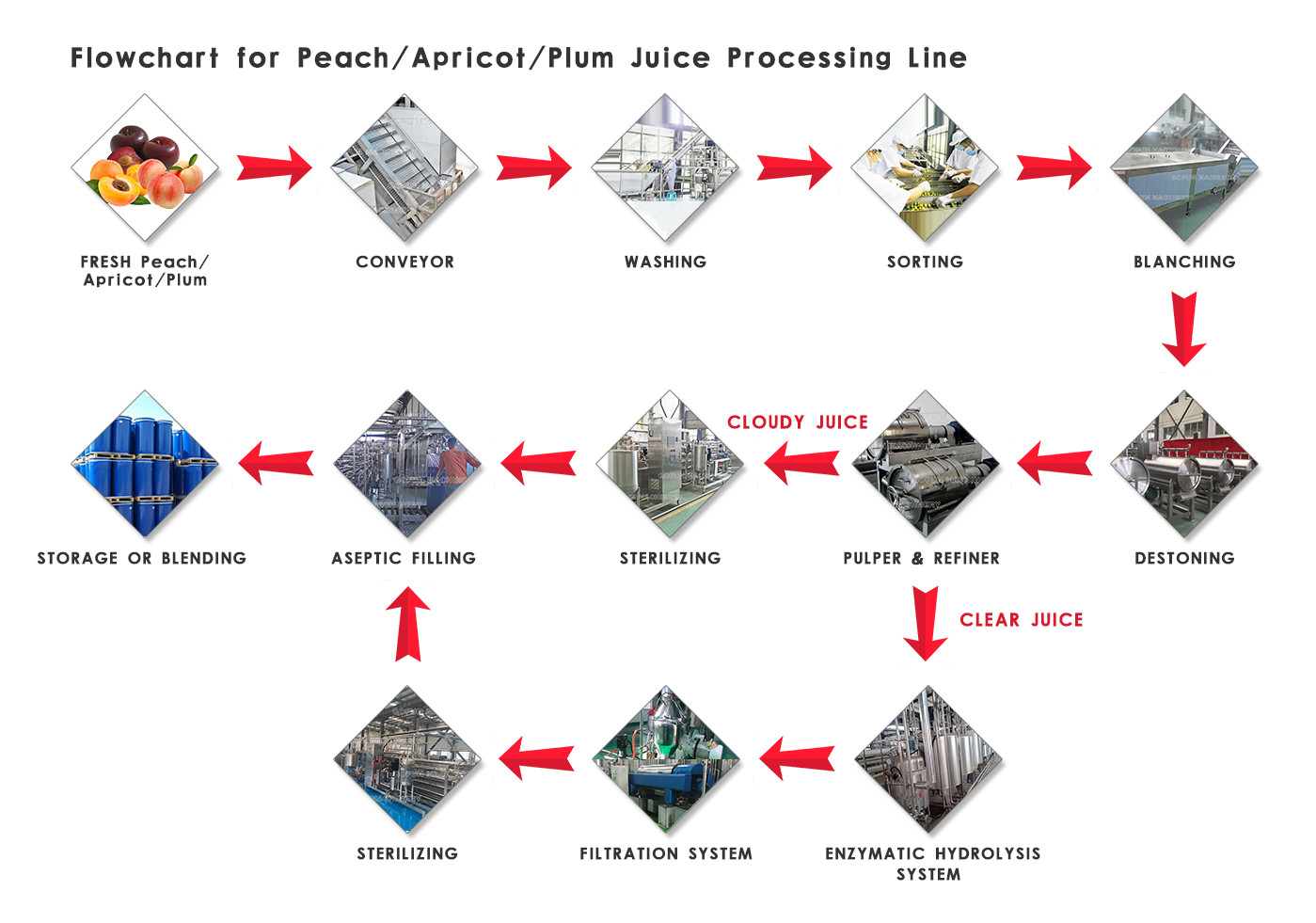 3tons/Day PLC Control Peach Apricot Fruit Processing Line