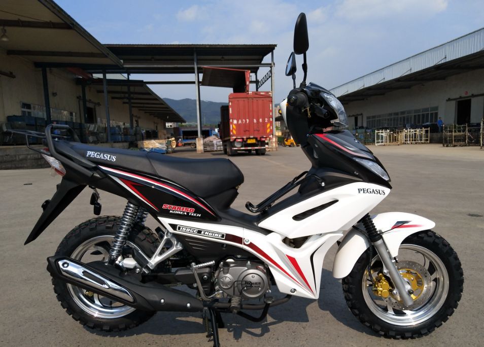 125cc 49cc Gas Powered Motor Bikes 100cc Cub Motorcycle With Brushless Motor