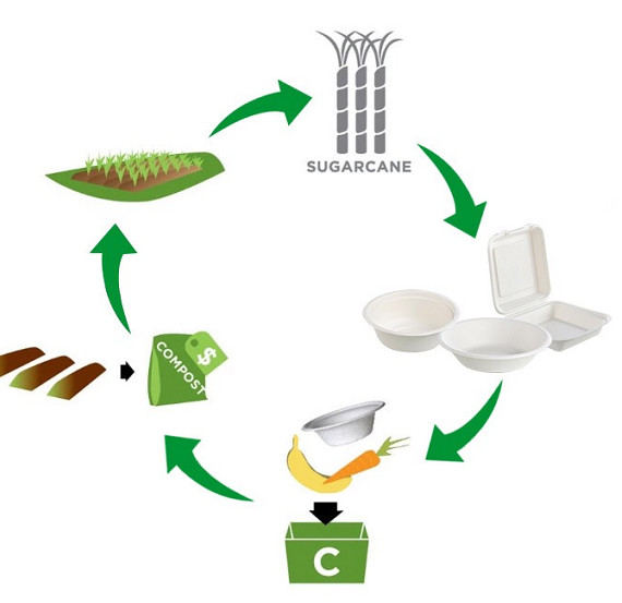 Sugarcane Biodegradable Clamshell Boxes Tableware Take out Food