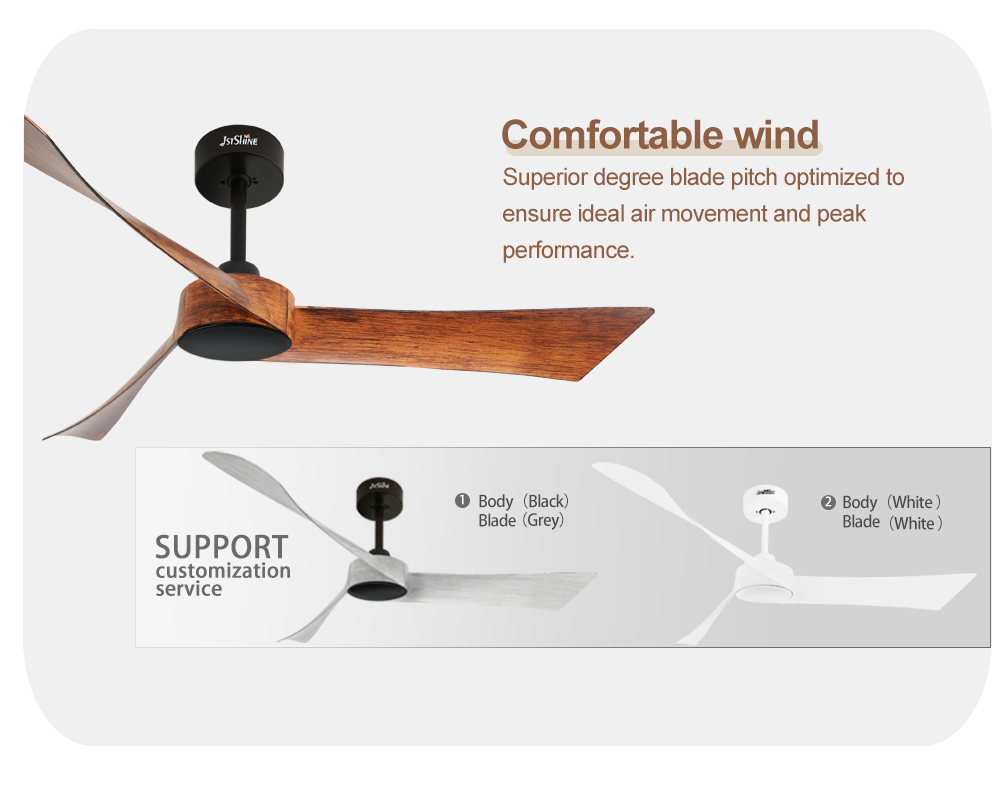 ceiling fan