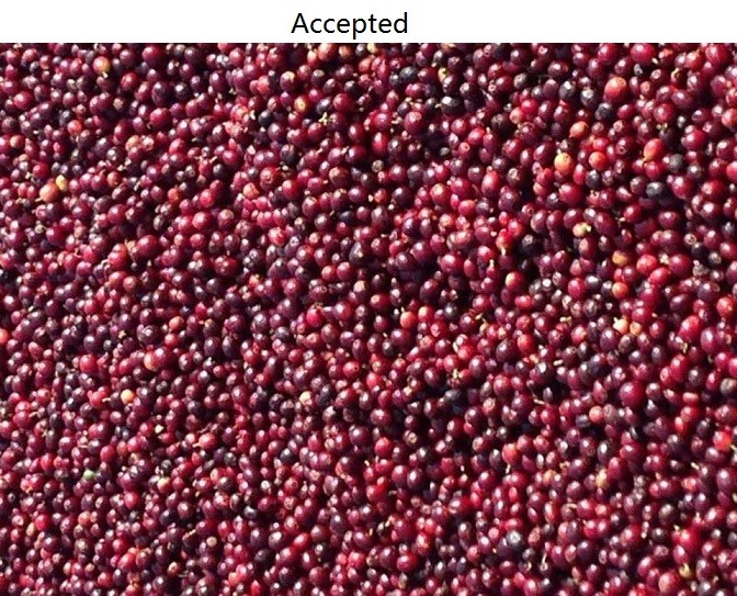 3.0Kw Coffee Color Sorter Machine