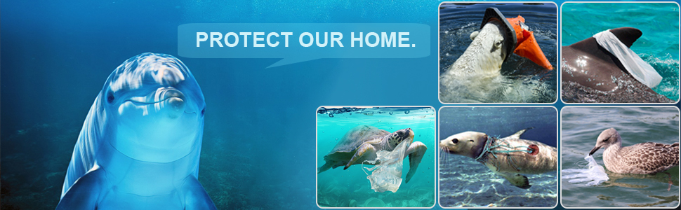 Protect your home