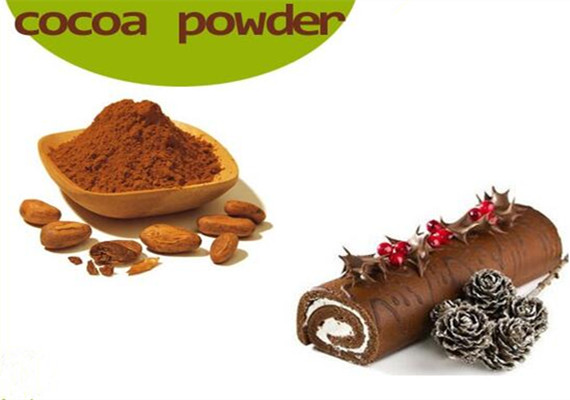 Premium Quality Low Fat Healthy Food Ingredient Cocoa Powder