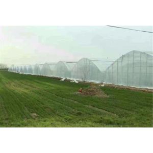Agricultural 60 Mesh Insect Proof Garden Netting HDPE Plastic Materials