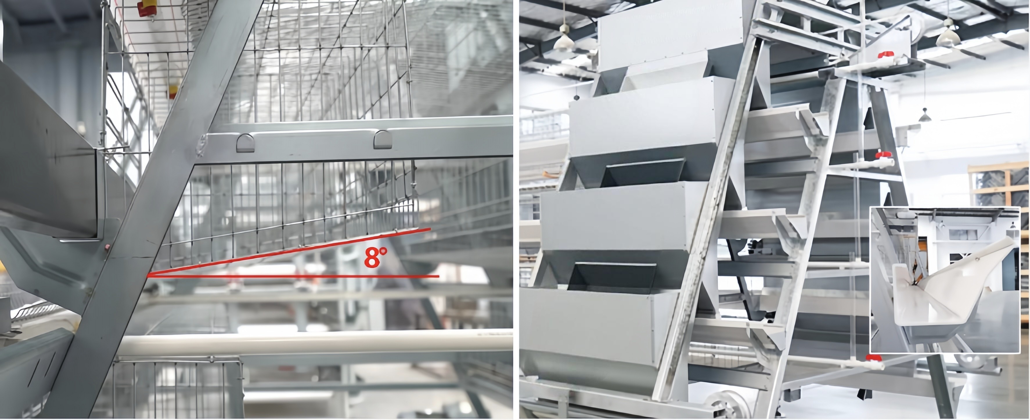 Easy Install Broiler Chicken Cage Automatic Chicken Feeding System For Poultry