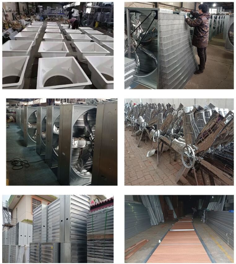 710mm Ventilation Cooling Fan 370W Cooling Fan For Poultry Farm