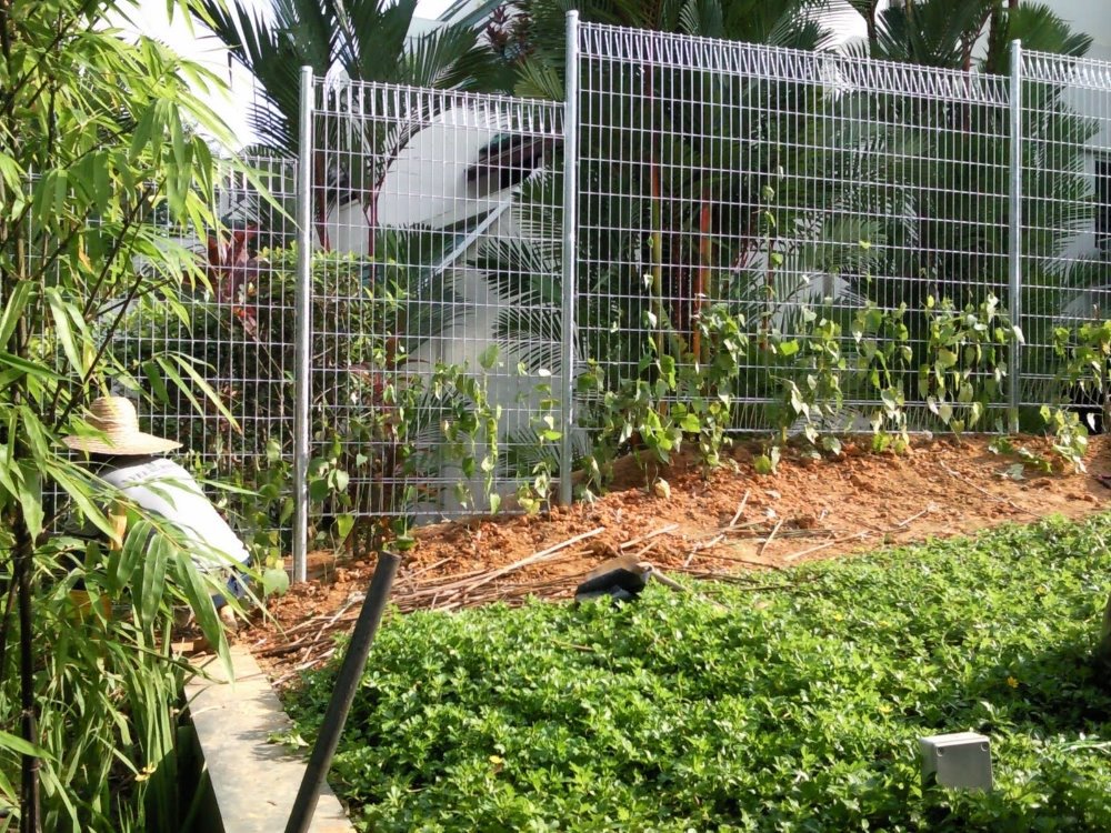 brc wire mesh fence (Manufactuers ) /6ft wire mesh fence/wire roll mesh fence