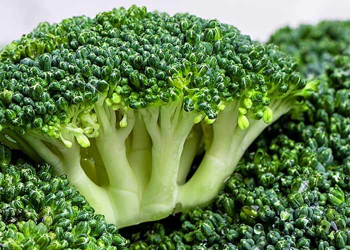 Health Broccoli Sprout Extract Powder , Broccoli Sprout Powder 1 - 6% Sulforaphan