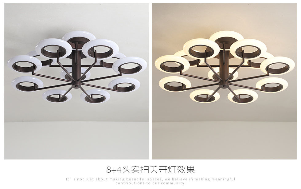The 2018 new fashion iron + aluminum alloy plus acrylic interior lights 30W / 50W / 120W