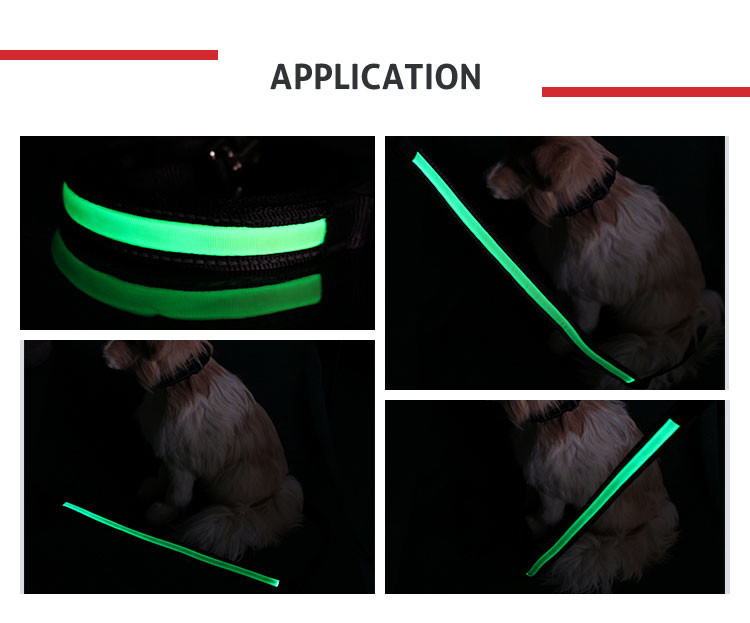 Nature Nylon Reflective Night Safety LED Dog Leash For Cats CE / ROHS