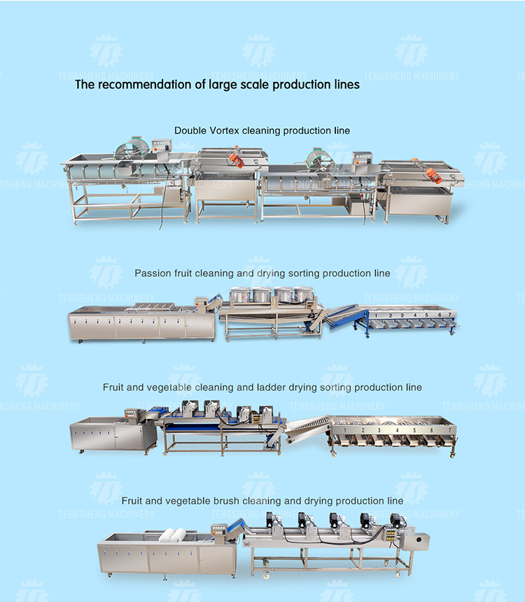 1500KG/H Root Vegetable Washing And Peeling Machine For Restaurant