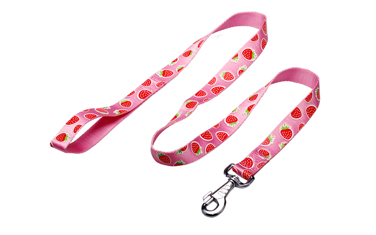 OEM training dog leash Silk Screen Pattern dog training lead