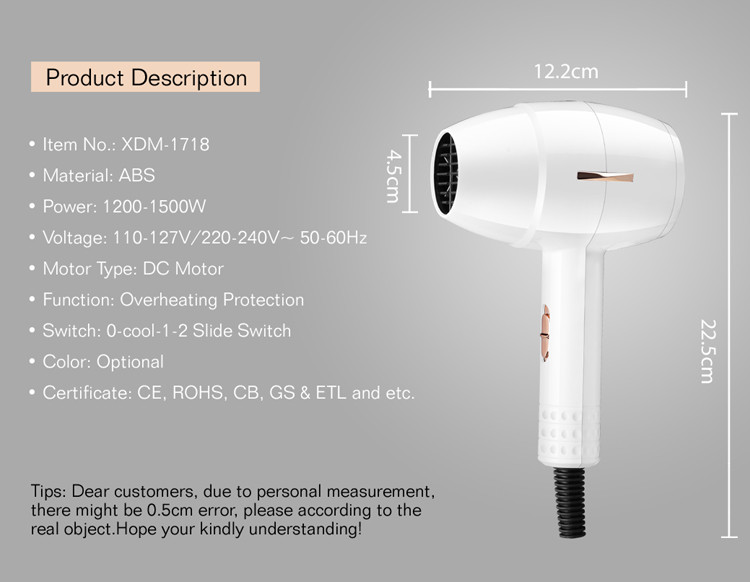 Axial Flow Dual Voltage Electric Hair Dryer For Travel Home Use