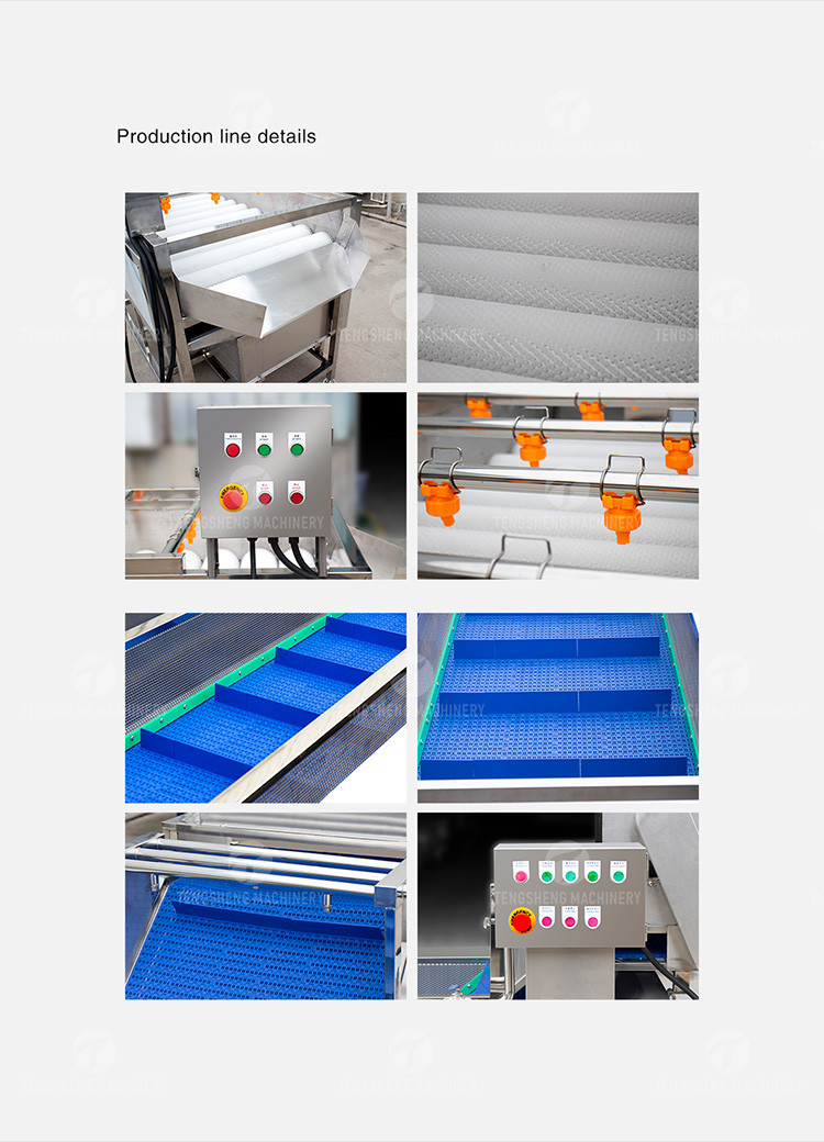 SS 380V Industrial Vegetable And Fruit Washing Machine