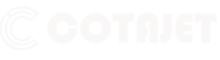 China Wuhan Cotajet Technology Co.,Ltd logo