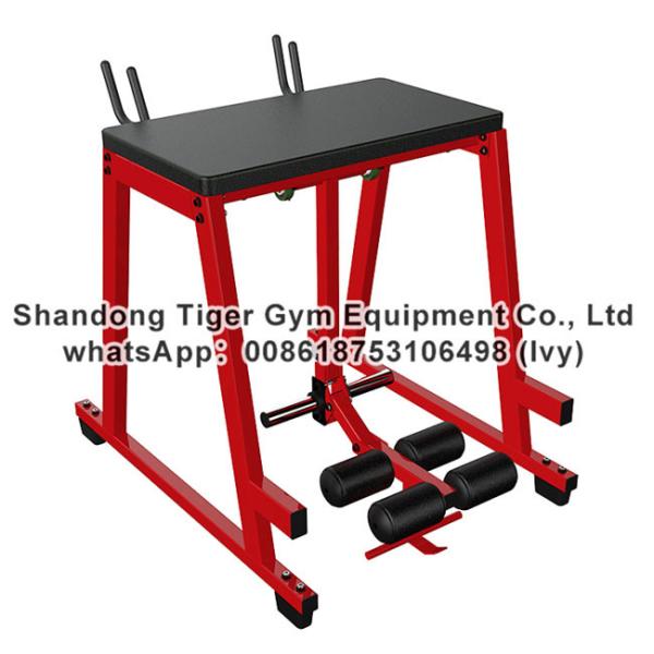 Strength Fitness Equipment / plate loaded gym fitness equipment / Prone straight