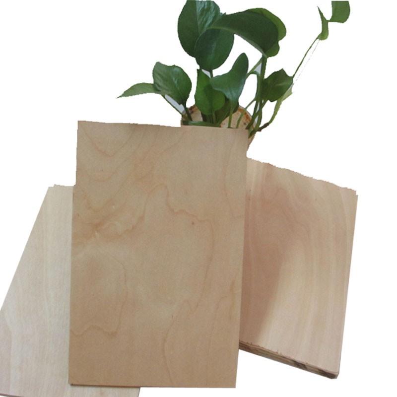 1220*2440mm Sapele Faced Plywood