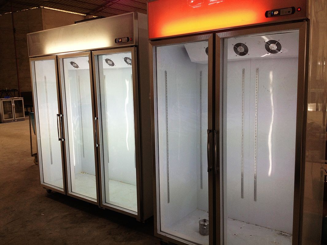 Anti - Mist Glass 1 Door Upright Commercial Display Freezer For Ice Cream