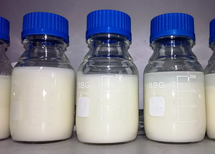 E475 Bakery Emulsifiers Food Grade Polyglycerol Esters Of Fatty Acids PGE155 For Shortening