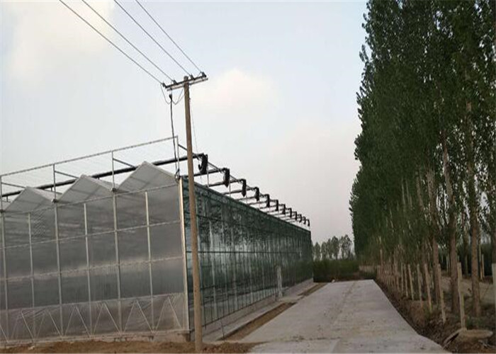 50 Micron UV Thickness PC Sheet Greenhouse Customized Length Clear Color