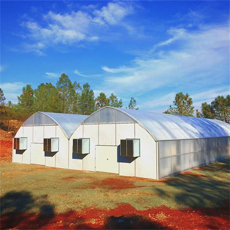 Multi Span Automated Blackout Greenhouse Width 30ft For Plant Growth