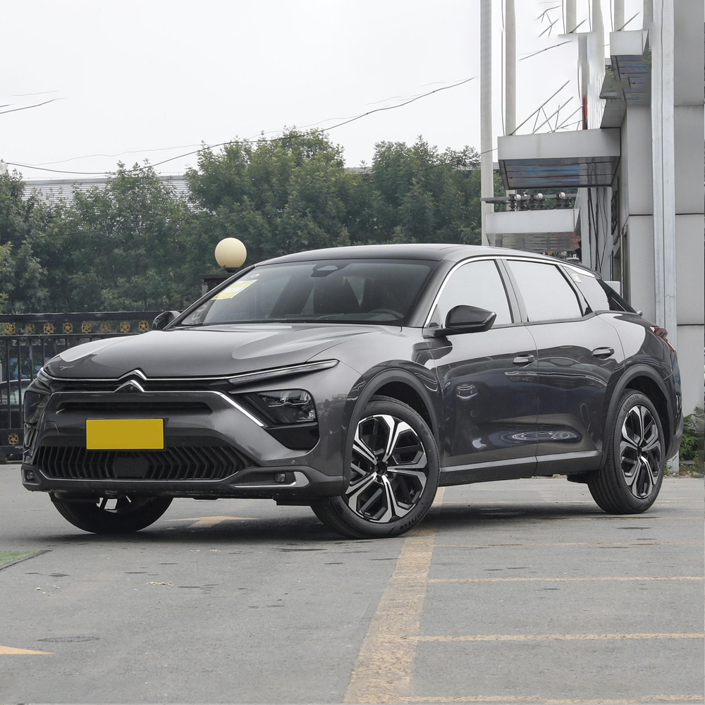 In Stock Factory Direct Sales Dcad Cam LED Camera Electric Leather Turbo Multi-function 20 Citroen ACC Automatic 4 Seater R19 85